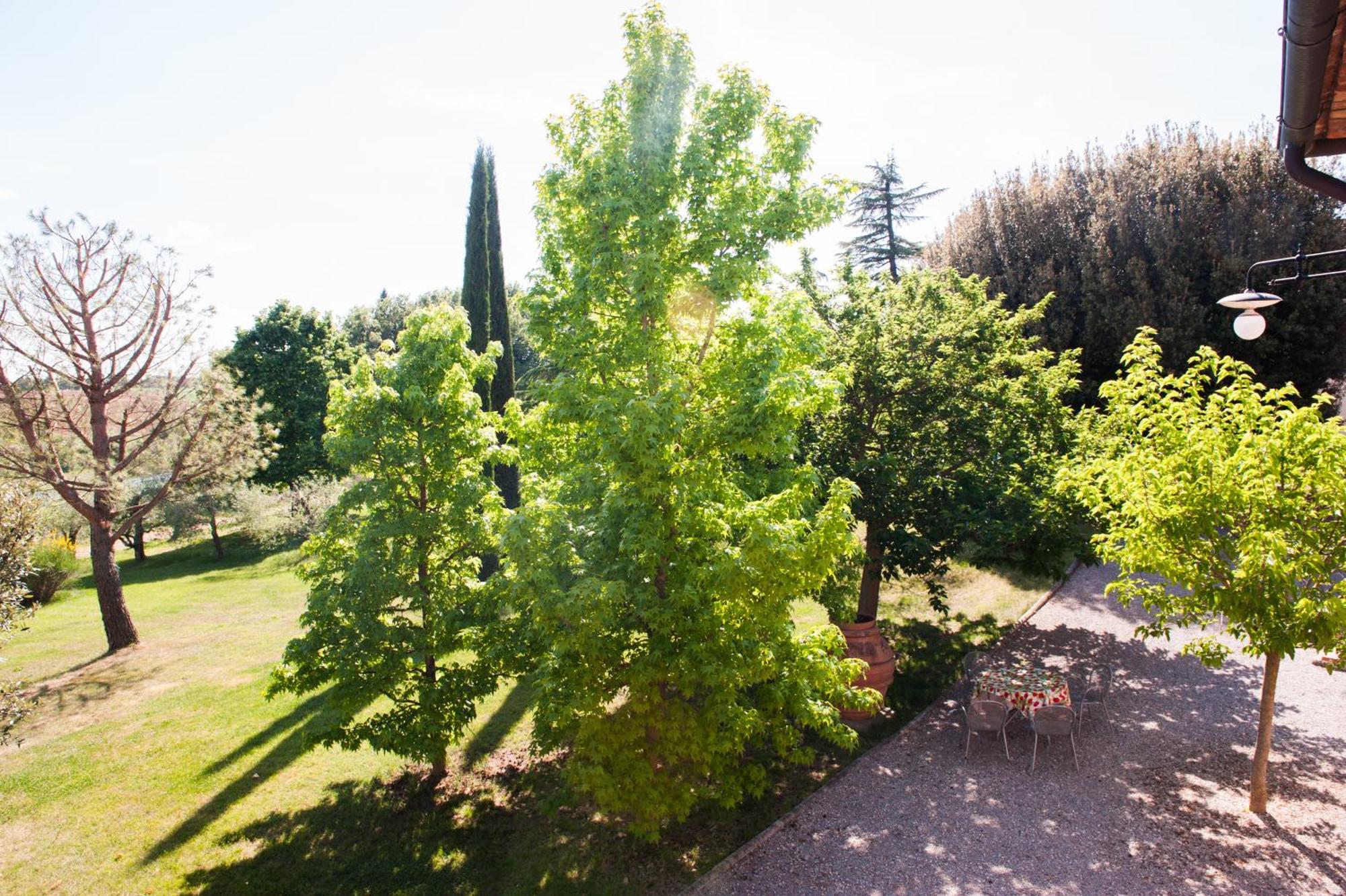 Agriturismo Villa La Morina Cortona Bagian luar foto