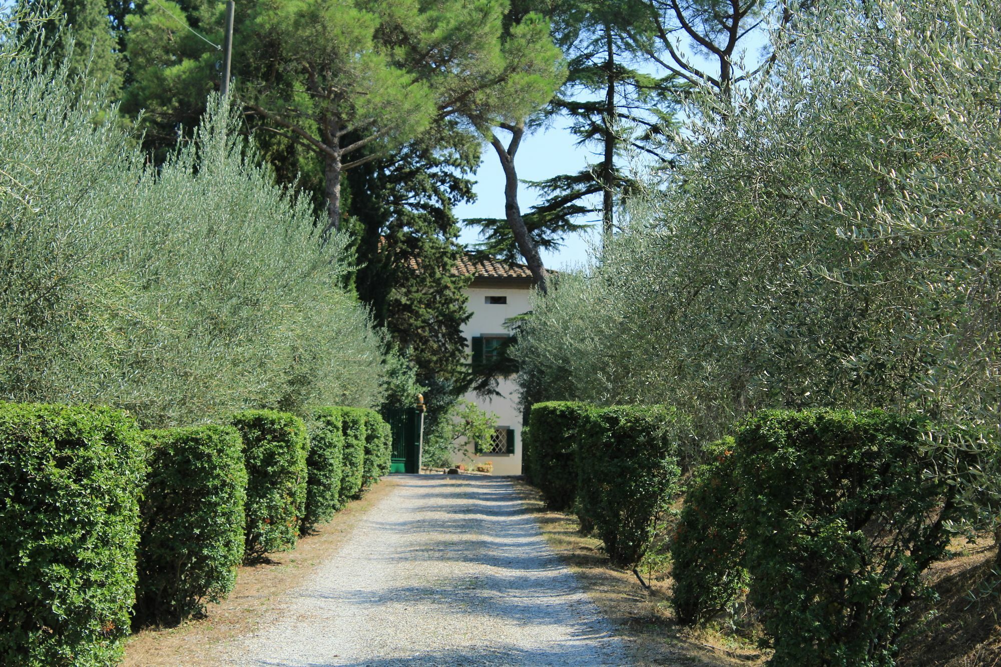 Agriturismo Villa La Morina Cortona Bagian luar foto